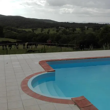 Collelungo Di Maremma *