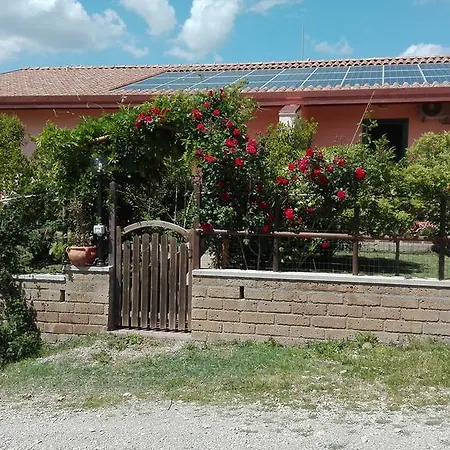 Collelungo Di Maremma