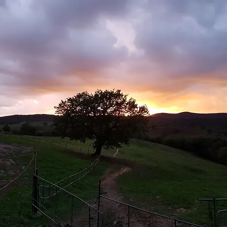 Appartamento Collelungo Di Maremma