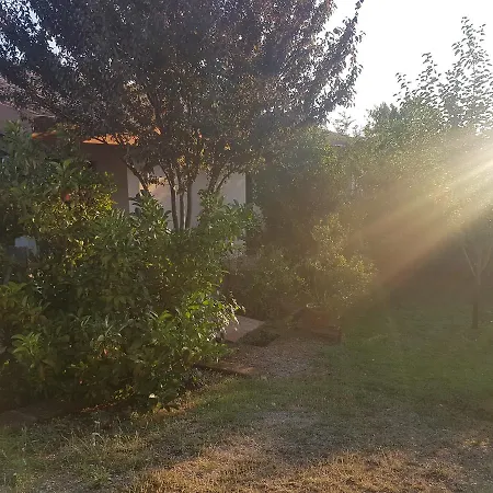 Collelungo Di Maremma * Diaccialone